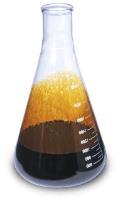 Bio-Oil Biochar Pyrolyzed Biomass: Biochar