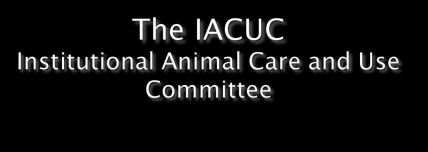 Laboratory animal science professionals accept responsibilities of caring for the animals, supporting quality research, and complying with a variety of regulatory requirements.