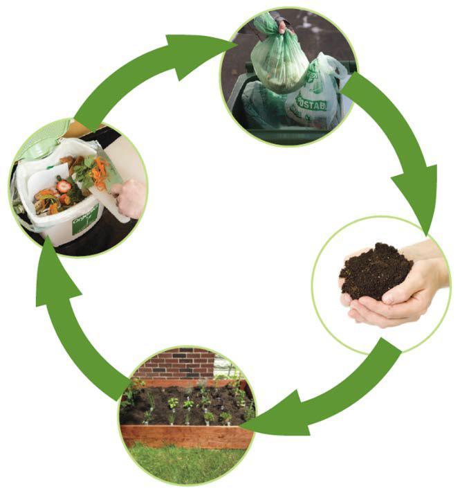 Focus on organics Recycling organic materials, which include food, foodsoiled paper and compostable products, is the