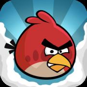 Example Surveys Week 2 Angry Birds is a mobile app game Survey Questions: The goal of this survey is to find a group of people that can give you information about your idea/ product / market