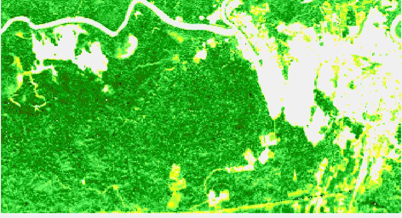 Ground range [pixel] Retrieved biomass (t/ha) P-band tomography for AGB mapping Paracou, tropical forest 112 in-situ plots : 100 m x 100 m 600 500 400 RMSE = 55.