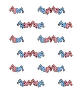 In this particular structure, six consecutive helices form one layer (m = 1,,, m =,, 1, and m = 13,, 1); the three DNA layers fold