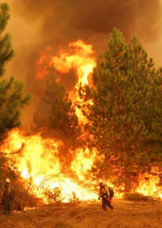 Schultz Fire a Reality Continual flooding damage despite fire containment success High-severity burn impacted the hydrologic behavior of the landscape Widespread flooding, large flood and