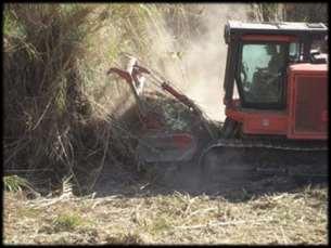 640 acres of Arundo removal 1 acre uses 3.