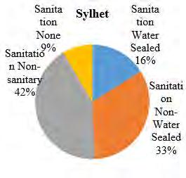 In both Mymensingh and Sylhet more than 50% of the HHs have either non-sanitary facilities or none at all. In Mymensingh 12% of the HHs have no sanitation facilities.