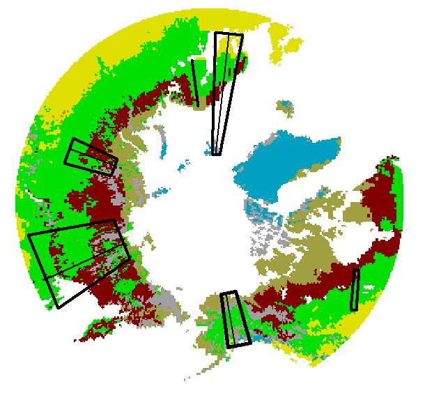Spatial Patterns of Tundra Vegetation