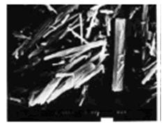 Fig. 5 : SEM micrographs