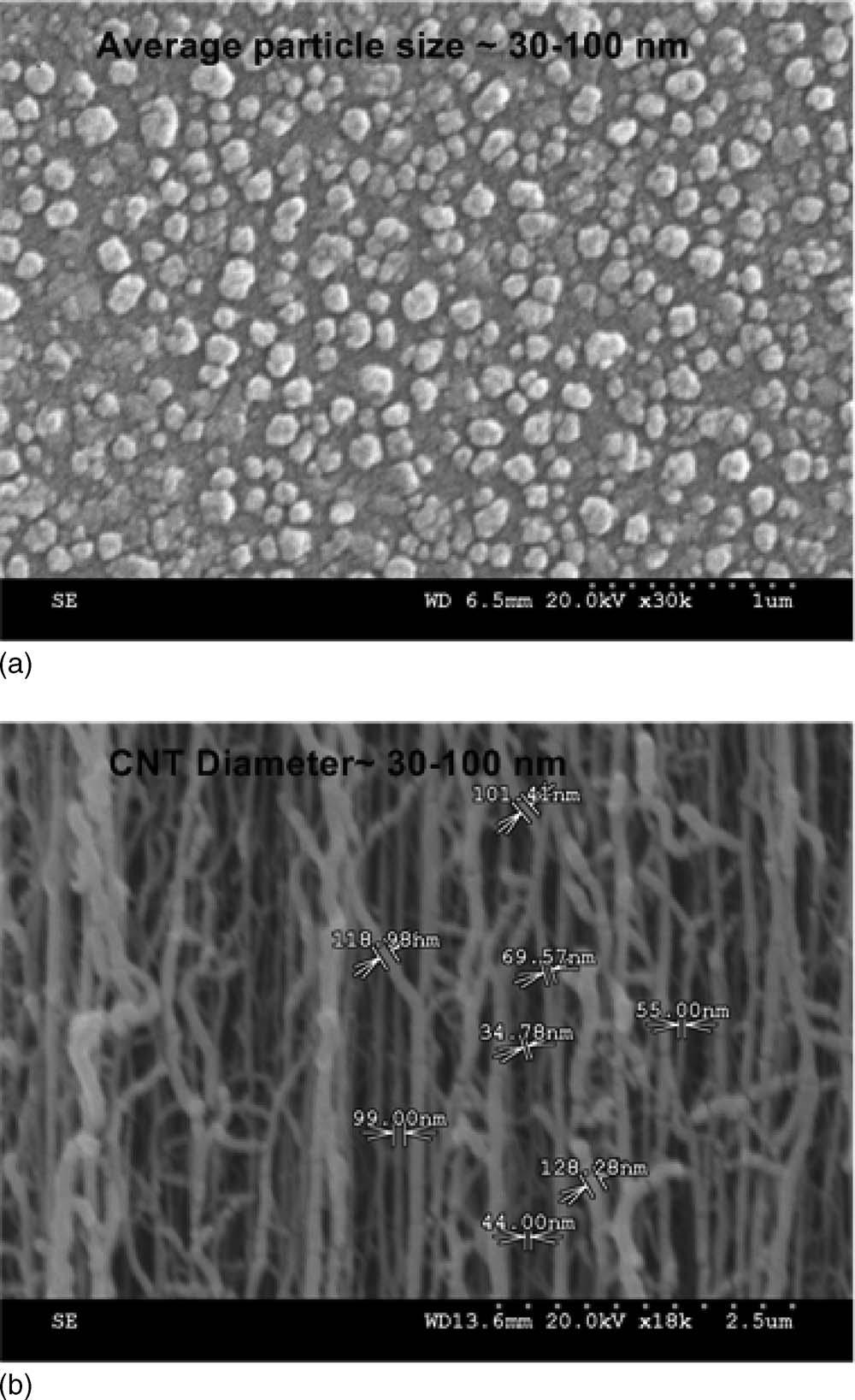 Journal of The Electrochemical Society, 156 3 1-XXXX 2009 3 Figure 6. CNTs grown on the TiN buffer layer. Figure 4.