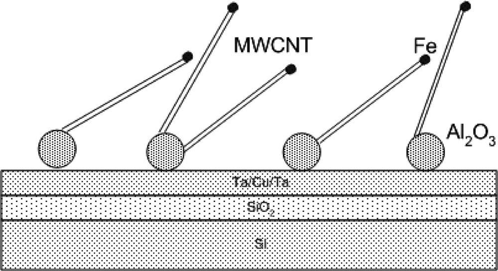 In thermal CVD growth of CNTs, vertically aligned CNTs 243 244 were obtained due to the densely grown CNTs guiding themselves 245 vertically.