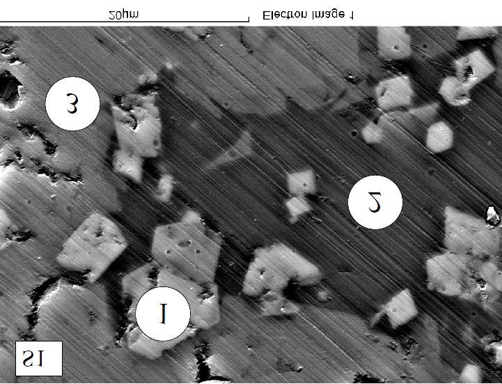 Figure 3 SEM image of the sample S1 with basicity 1.6, the Al 2 content was 3 wt%.
