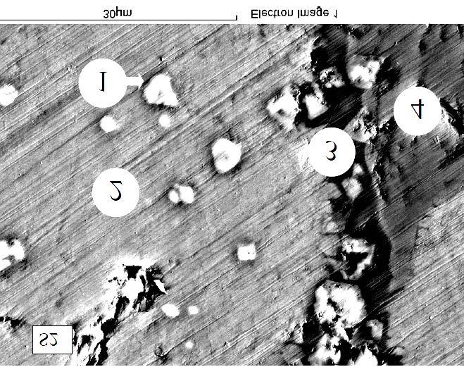 Spinel grains, up to 10μm in diameter, could be observed. Figure 4 SEM micrograph of the sample S2 with basicity 1.6, the alumina addition was 6 wt%.