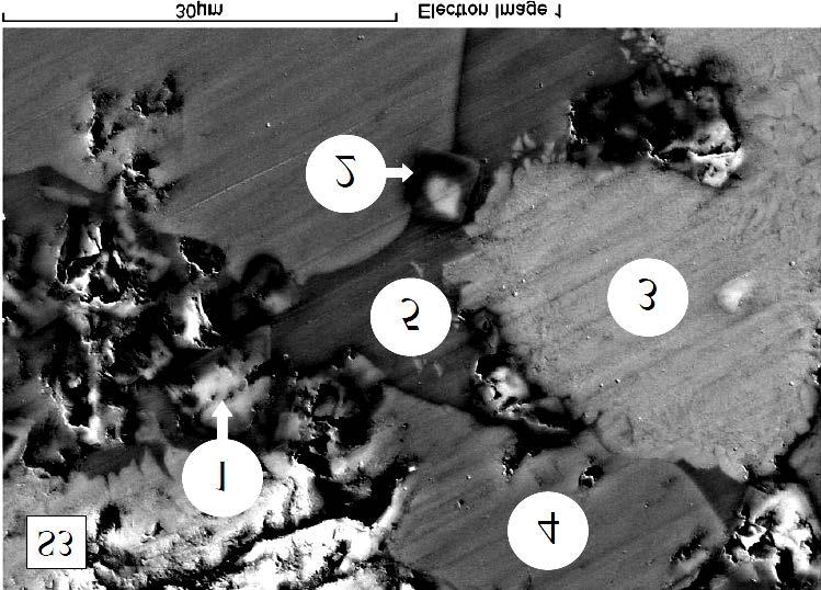Figure 6 shows SEM micrograph of the sample S4 with basicity 1.6, the Al 2 content was 12 wt%.