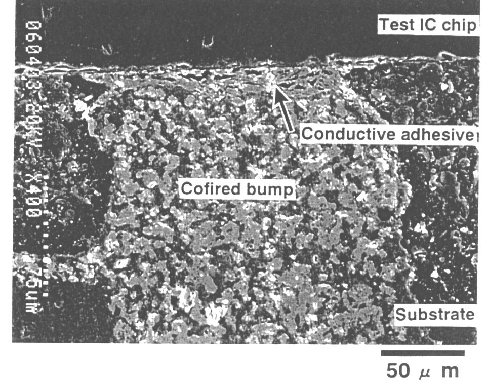 Intl. Journal of Microcircuits and Electronic Packaging The interconnection between the top of cofired bumps and the surface of electrodes on an LSI chip was carried out using a conductive adhesive,