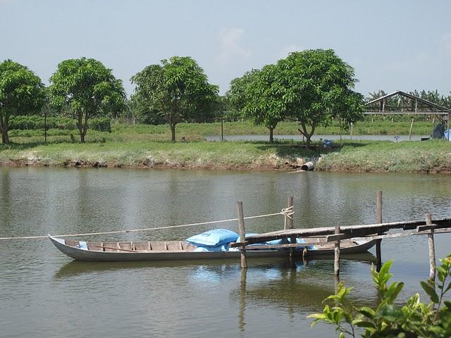 The Project Vietnam case study (World Bank EACC) 2008, aquaculture production accounted for 6.