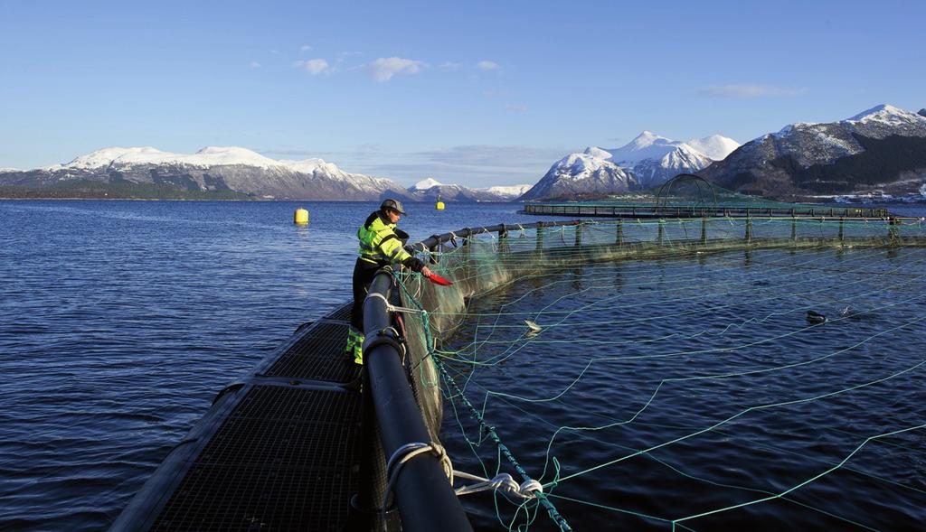 The Aquaculture Stewardship Council (ASC) is as an independent, not-forprofit organisation with a mission to transform aquaculture towards environmental sustainability and social responsibility using