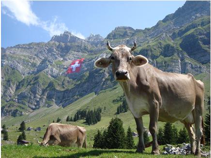 Federal Department of Economic Affairs, Education and Research EAER Federal Office for Agriculture FOAG State of the Switzerland s Biodiversity for Food and Agriculture. 17.
