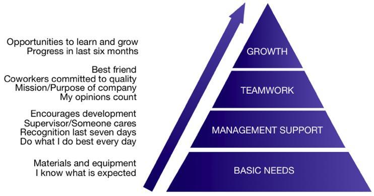 Engagement is Meeting Basic Human Needs at Work These factors are