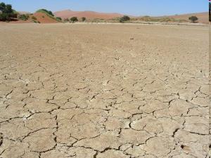 Namibia, South Africa Desertification caused by drought and exacerbated by the practice of cooking over open fires