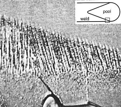 172 WELD METAL SOLIDIFICATION I: GRAIN STRUCTURE Figure 7.3 Epitaxial growth during the welding of camphene in the area indicated by the square (magnification 75 ). Modified from Savage (6). 7.1.2 Epitaxial Growth in Welding Savage et al.