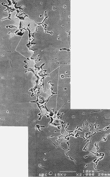 276 WELD METAL SOLIDIFICATION CRACKING Figure 11.17 Scanning electron micrographs showing morphology of g-nbc and g- Laves constituents in solidification cracks of a Nb-bearing superalloy.