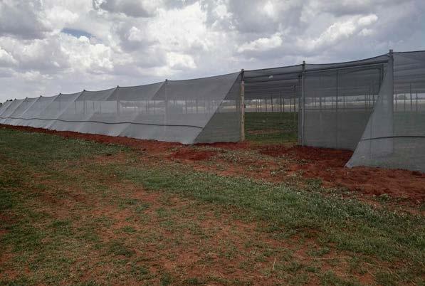 MERAFONG AGRIPARK (EXPANSION) The Project includes: