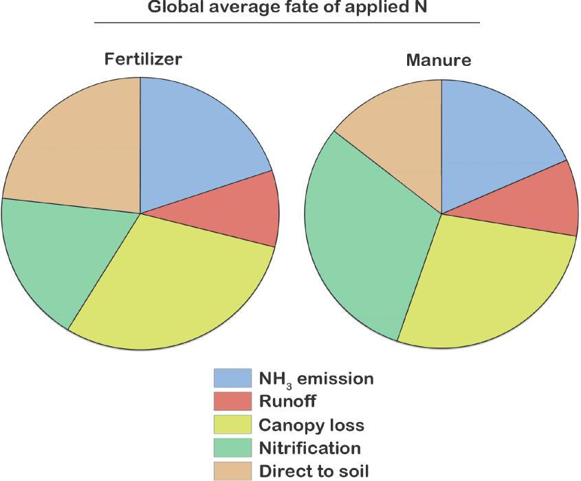 FAN: Flow of Agricultural Nitrogen Reduced nitrogen (NH4+NH3) is subject to losses due to volatilization and leaching Atmospheric emissions of ammonia have an important role in