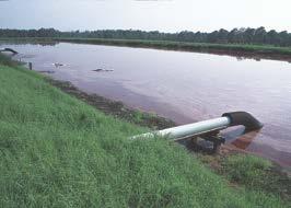 Consider only slurry Broadcast application Slow