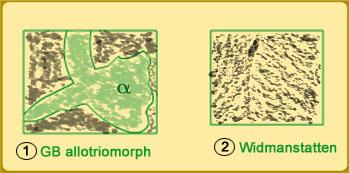 Figure 13: Morphologies at different undercoolings. The microstructures consist of ferrite (α) and martensite which is formed from the untransformed austenite (γ) during the quench.
