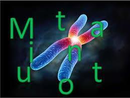 Unit 1: DNA and the Genome