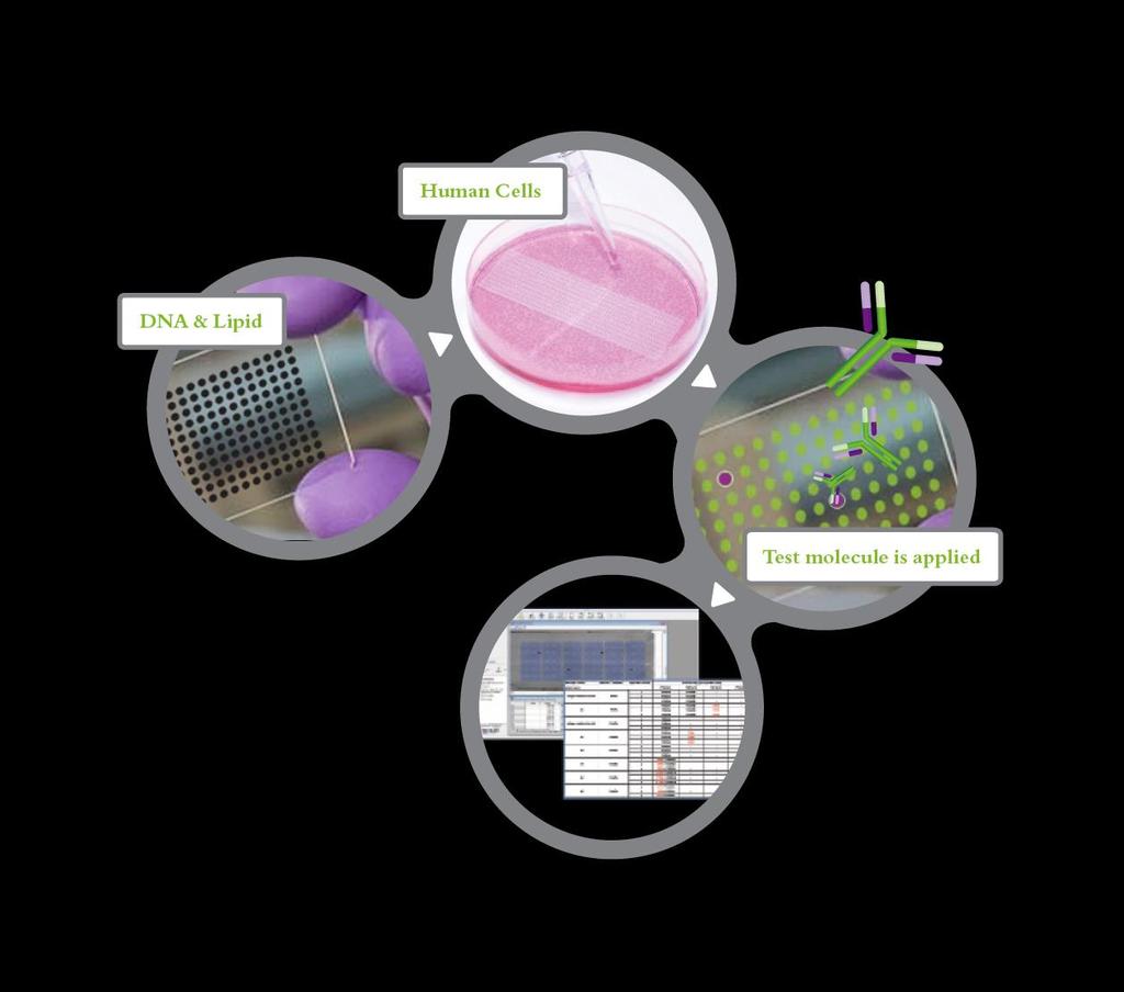 Solving the membrane target deconvolution bottleneck: Cell Microarray technology