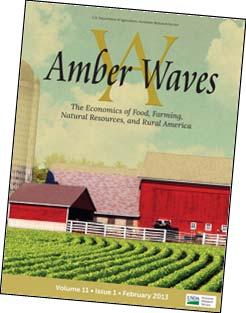 Amber Waves: Presents current ERS economic and policy research on agriculture, food, rural America, and the environment for policymakers, academics and the public.
