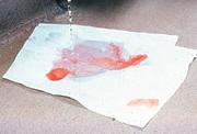 Incident Response Biological Spill Response Alert others in the area, including your supervisor Put on appropriate PPE, then 1. Cover the spill with paper towel(s) 2.