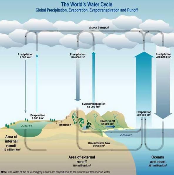 The World s Water Cycle 79% of the rain falls on the ocean Of the water that falls on land 59% -