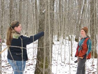 Is also is extremely informative in allowing the WI Program to network educators across the state and stay up to date on the type of programming that takes place at various school forests.