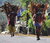 Pakistan, the Philippines, Sri Lanka and Vietnam, and four-fifths of the firewood burned in Kerala, India, is