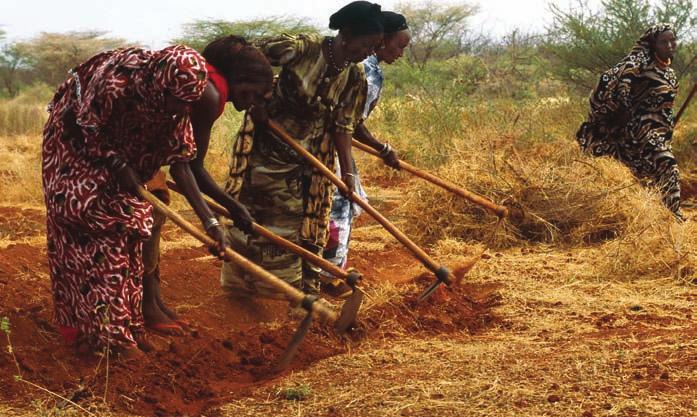 Repairing soils In the mid-1990s, soils in the Western Highlands of Cameroon in Africa were so degraded that farmers were abandoning their land.