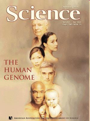 Sequencing of the Human Genome p The (draft) human genome was published in 2001 p