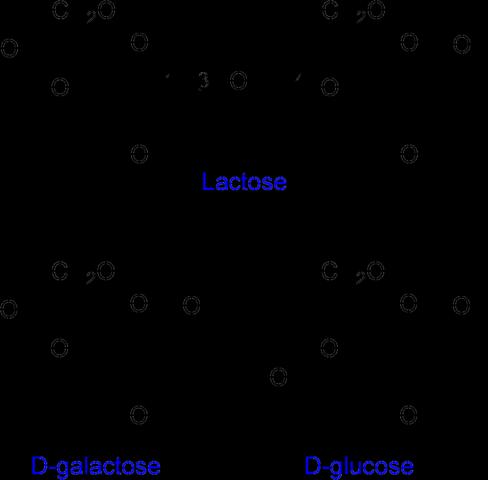 The Lactose (lac) Operon Idea: Bacteria only want to produce proteins if they are needed Why metabolize lactose (hard) when glucose (easy)