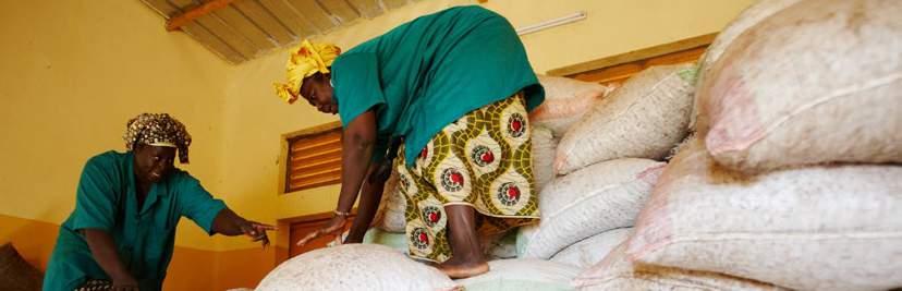 WAREHOUSES FOR WOMEN SHEA KERNEL COLLECTORS Overview The Global Shea Alliance (GSA) will construct 250 (100 ton) warehouses over a five-year period The warehouses will be donated to women s groups