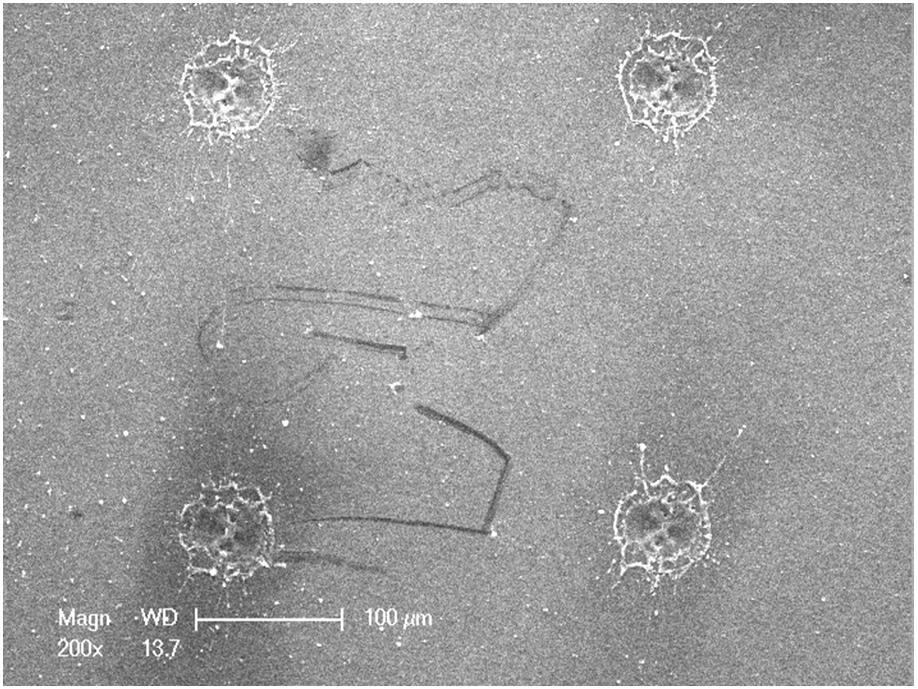Figure 3-36: SEM image of four LFCs used for resistance measurements. Figure 3-37 shows resistance values as a function of the number of shots fired for all frequencies tested.