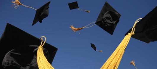 University Graduation and Enrolment for Environment-related Programs 1999-2005 ELM ENVIRONMENTAL LABOUR