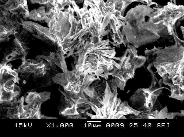3.2 Scanning Electron Microscope (SEM) For surface morphology and particle size analysis was cleared by SEM analysis (figure 2).