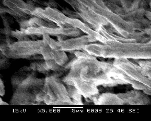 complexing agent. The particle size was found 17-20 nn range. Plate and powder like morphology showed in SEM images.