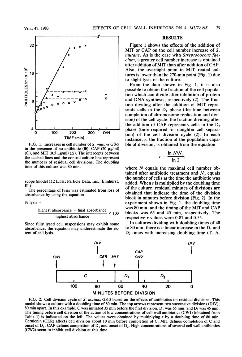 VOL. 41, 1983 x E w-i 32 161 8 4 I I I A( I- 1 2 3 O/N TIME (min) FIG. 1. Increases in cell number of S. mutans GS-5 in the presence of no antibiotic (), CAP (2,ug/ml) (), and MIT (.5,ug/ml) (A).