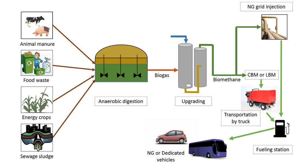 Biogas for transport: