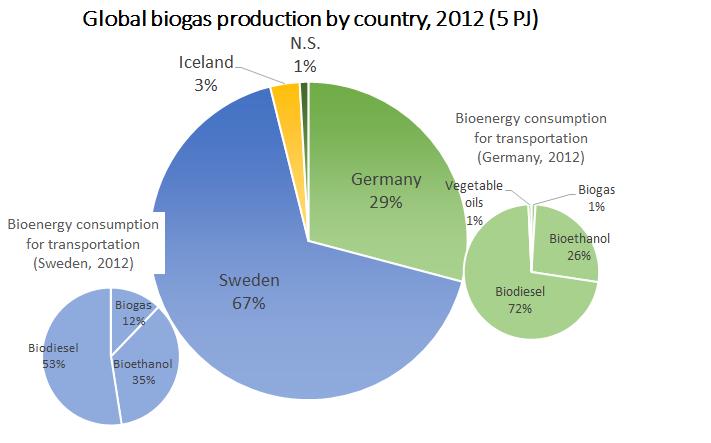 Biogas for transport: Performance and capacity Biogas for transportation 0.