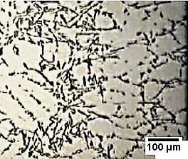 FIGURE 3. - Dendritic microstructure formed within billet after solidification from pouring temperature of 665 C under air cooling.