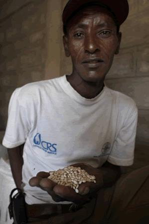 Navy Bean Chain Ethiopia Crop grown by 70,000 + farmers.