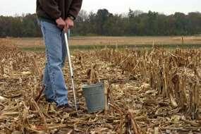 A soil probe is used to