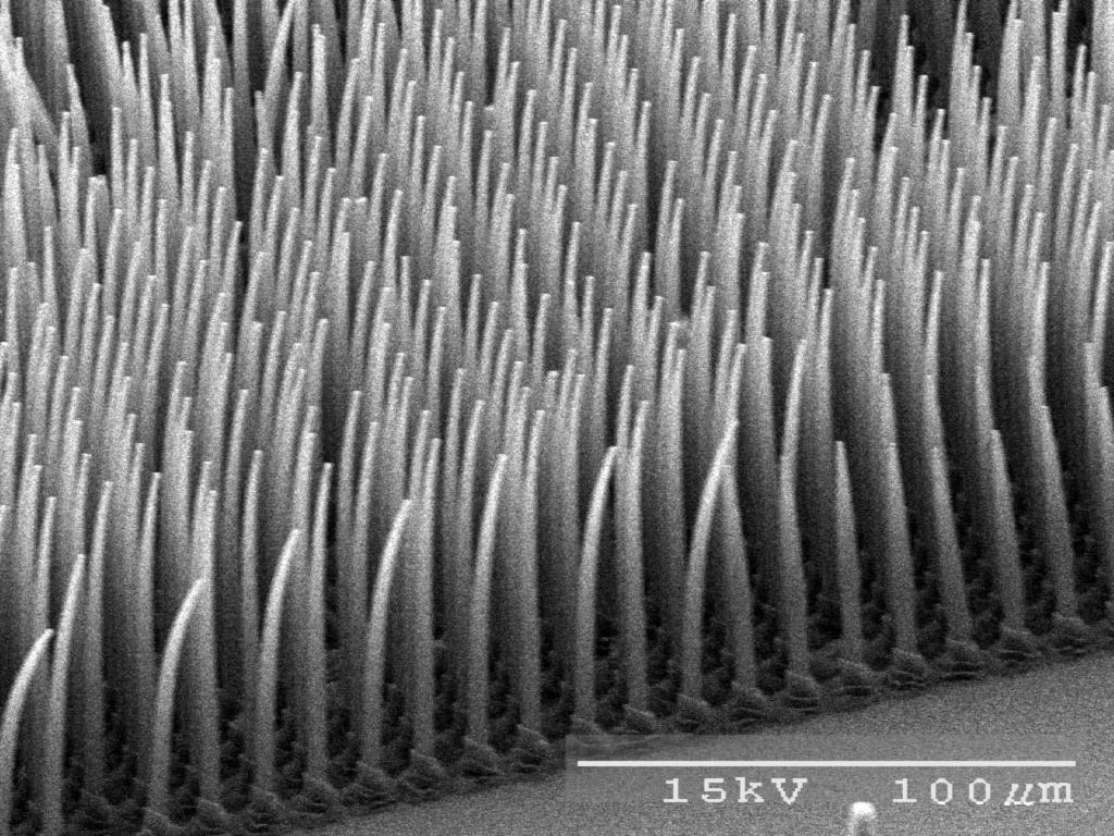 Polyurethane Micro-Fibers by Molding a